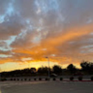 Meet your Posher, Buddha